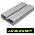 Profil antynajazdowy antyrowerowy 100x30.jpg